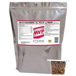Glucosamine XL Plus W/MSM