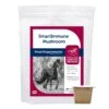 SmartImmune™ Mushroom -Cavalor Sale Store 35490 overlay 1