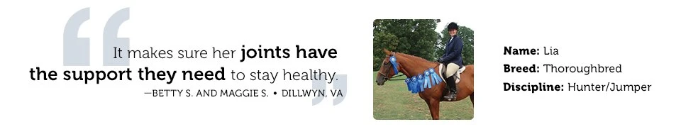 Cosequin® Equine Powder 4 Cosequin® Equine Powder - Image 2