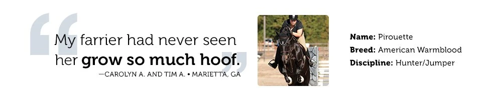 SmartHoof® Circulate Pellets 4 SmartHoof® Circulate Pellets - Image 2